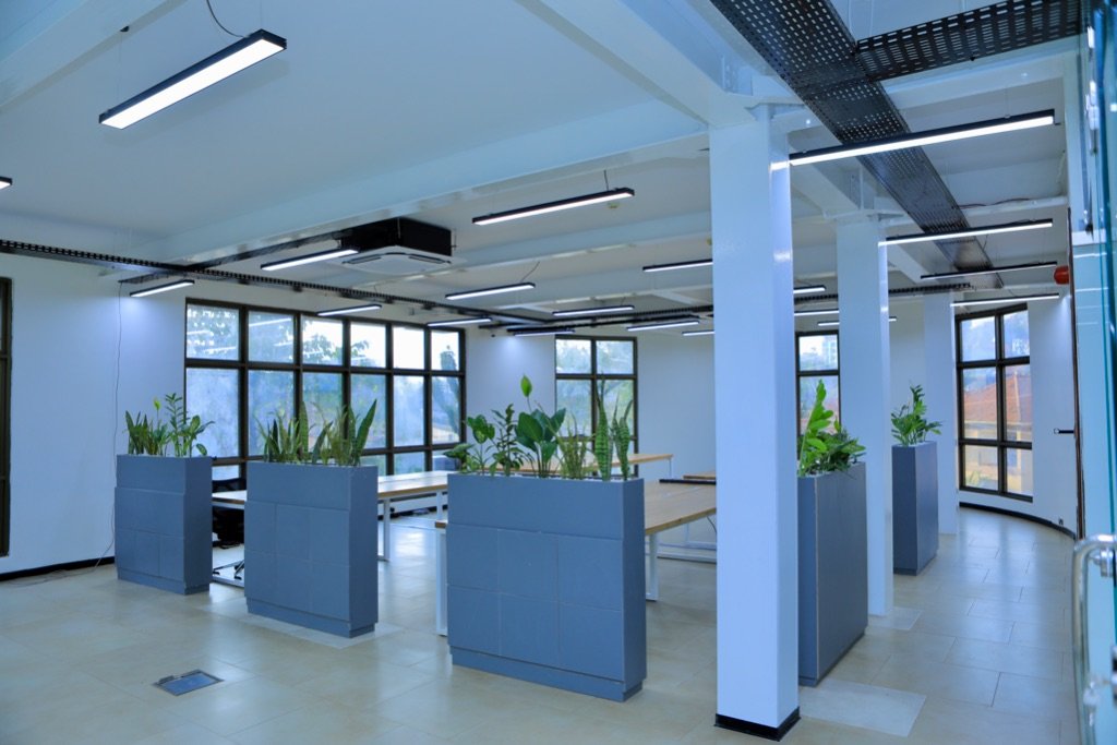 MOGO HQ Fit-Out, full open-plan floor with biophilic planter dividers